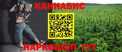 винт Партизанск
